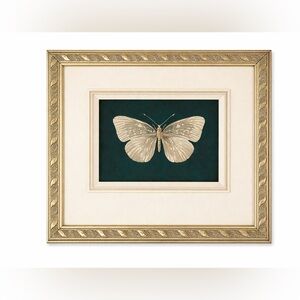 Gold Framed Butterfly Art